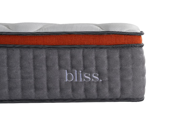 Morrison Bliss